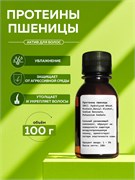 Гидролизованные Протеины пшеницы, 100г 2039931746770