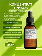 Концентрат грибов, 30г 11620