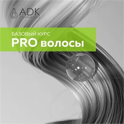 Базовый курс «PRO волосы» 23423423523424 - фото 857